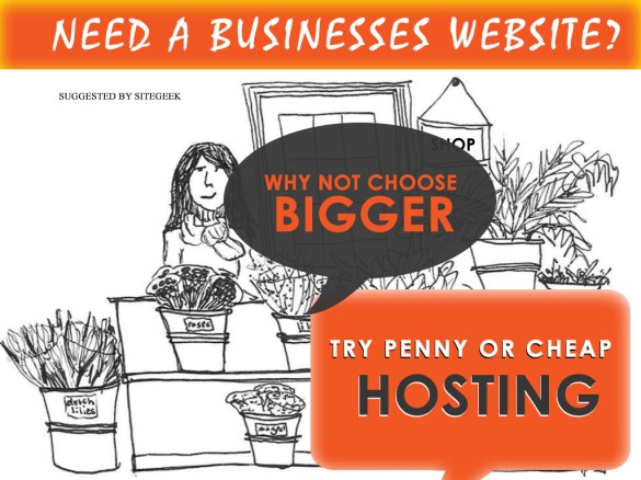 penny_hosting_business